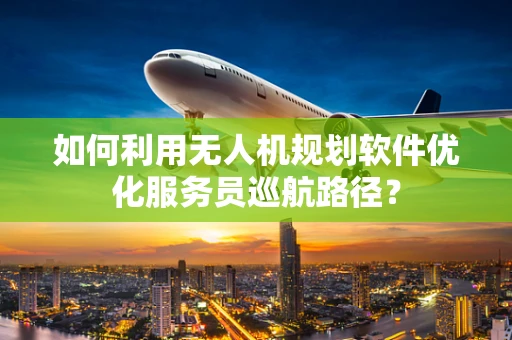 如何利用无人机规划软件优化服务员巡航路径？