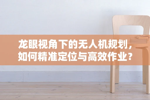 龙眼视角下的无人机规划，如何精准定位与高效作业？