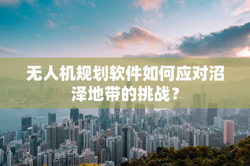 无人机规划软件如何应对沼泽地带的挑战？