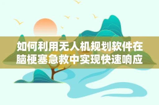 如何利用无人机规划软件在脑梗塞急救中实现快速响应？