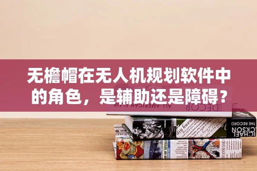 无檐帽在无人机规划软件中的角色，是辅助还是障碍？