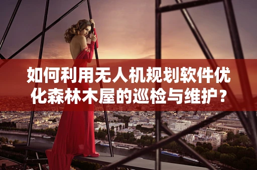 如何利用无人机规划软件优化森林木屋的巡检与维护？