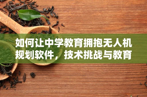 如何让中学教育拥抱无人机规划软件，技术挑战与教育价值的平衡？