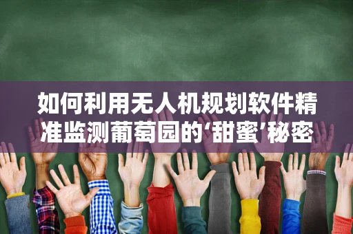 如何利用无人机规划软件精准监测葡萄园的‘甜蜜’秘密？