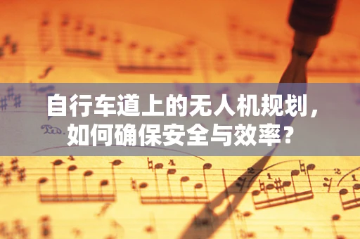 自行车道上的无人机规划，如何确保安全与效率？