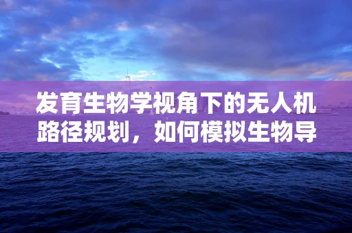 发育生物学视角下的无人机路径规划，如何模拟生物导航策略？