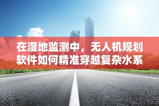 在湿地监测中，无人机规划软件如何精准穿越复杂水系？