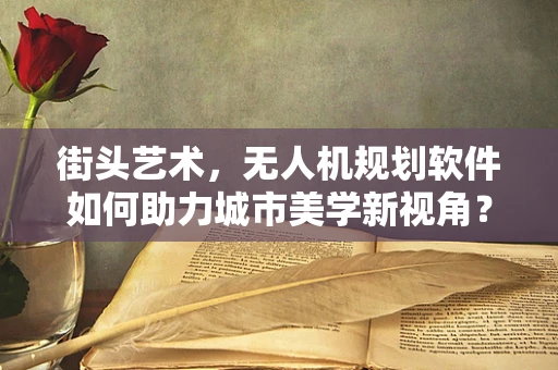 街头艺术，无人机规划软件如何助力城市美学新视角？