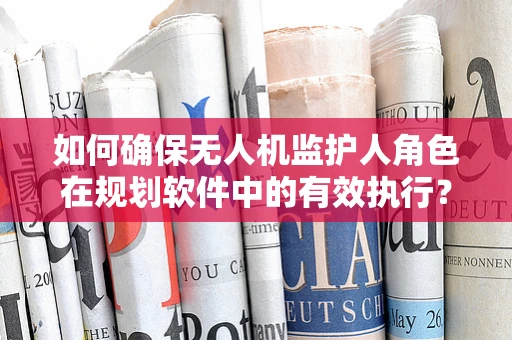 如何确保无人机监护人角色在规划软件中的有效执行？