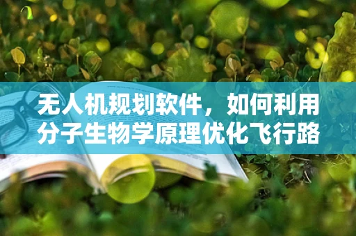 无人机规划软件，如何利用分子生物学原理优化飞行路径？