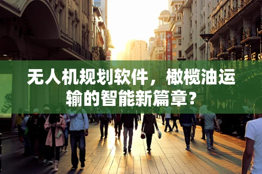 无人机规划软件，橄榄油运输的智能新篇章？