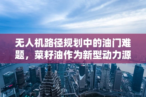 无人机路径规划中的油门难题，菜籽油作为新型动力源的可行性探讨