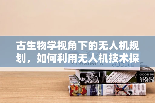 古生物学视角下的无人机规划，如何利用无人机技术探索史前遗迹？