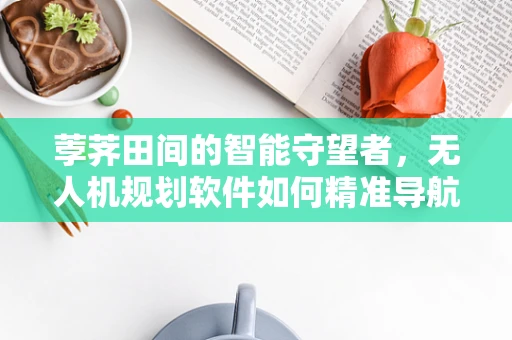 荸荠田间的智能守望者，无人机规划软件如何精准导航？