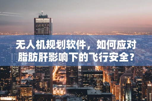 无人机规划软件，如何应对脂肪肝影响下的飞行安全？