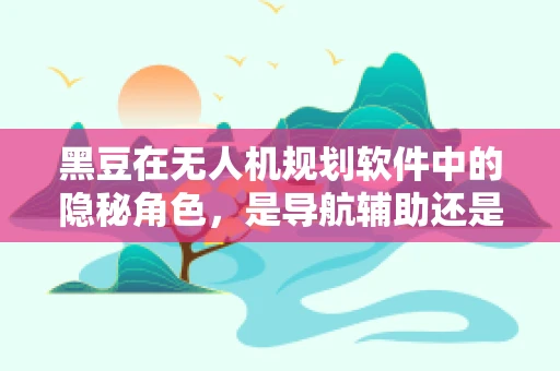 黑豆在无人机规划软件中的隐秘角色，是导航辅助还是数据迷雾？