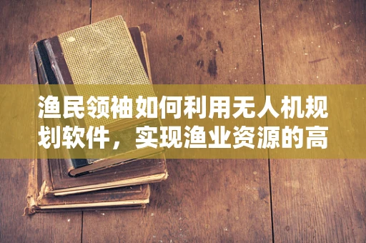 渔民领袖如何利用无人机规划软件，实现渔业资源的高效管理？