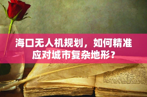 海口无人机规划，如何精准应对城市复杂地形？