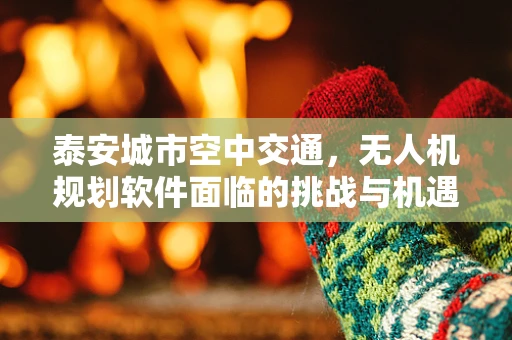 泰安城市空中交通，无人机规划软件面临的挑战与机遇