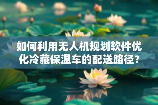 如何利用无人机规划软件优化冷藏保温车的配送路径？