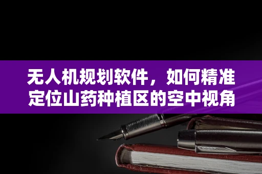 无人机规划软件，如何精准定位山药种植区的空中视角？