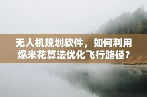 无人机规划软件，如何利用爆米花算法优化飞行路径？