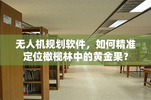 无人机规划软件，如何精准定位橄榄林中的黄金果？