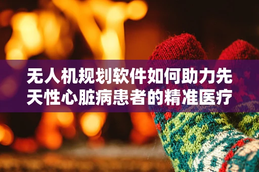 无人机规划软件如何助力先天性心脏病患者的精准医疗运输？