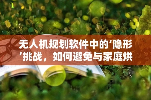 无人机规划软件中的‘隐形’挑战，如何避免与家庭烘干机‘碰撞’？