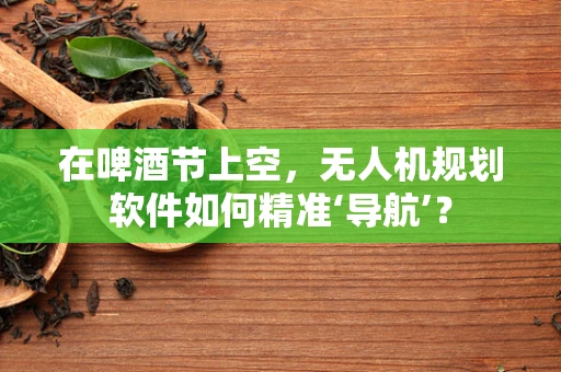 在啤酒节上空，无人机规划软件如何精准‘导航’？