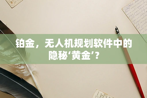 铂金，无人机规划软件中的隐秘‘黄金’？