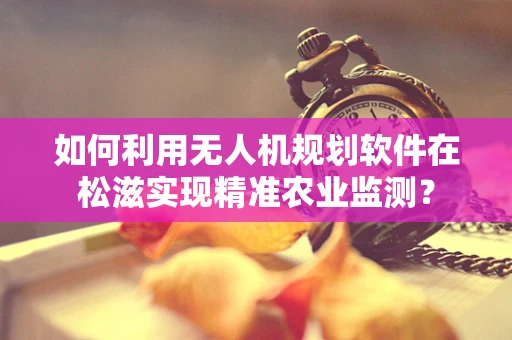 如何利用无人机规划软件在松滋实现精准农业监测？