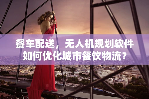 餐车配送，无人机规划软件如何优化城市餐饮物流？