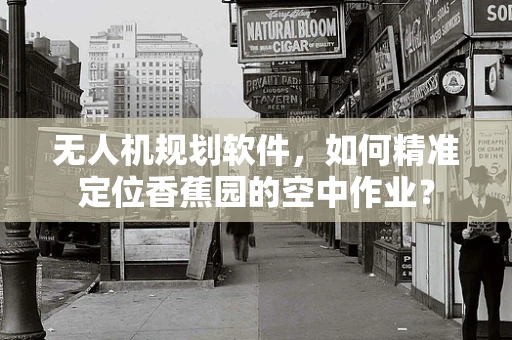无人机规划软件，如何精准定位香蕉园的空中作业？
