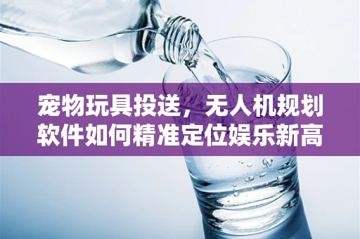 宠物玩具投送，无人机规划软件如何精准定位娱乐新高度？