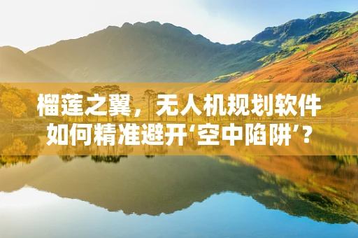 榴莲之翼，无人机规划软件如何精准避开‘空中陷阱’？