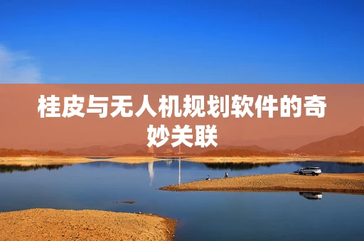 桂皮与无人机规划软件的奇妙关联