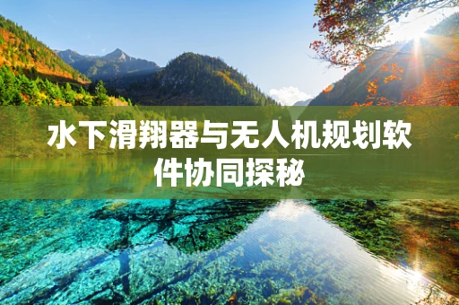 水下滑翔器与无人机规划软件协同探秘