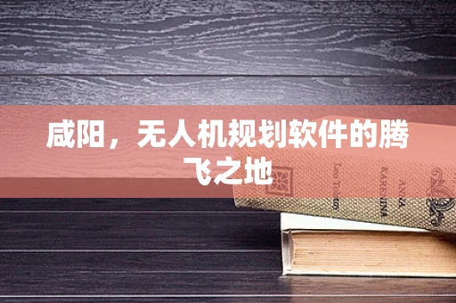 咸阳，无人机规划软件的腾飞之地