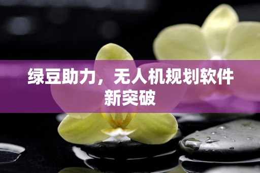 绿豆助力，无人机规划软件新突破
