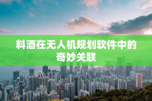 料酒在无人机规划软件中的奇妙关联