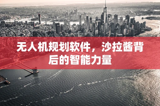 无人机规划软件，沙拉酱背后的智能力量
