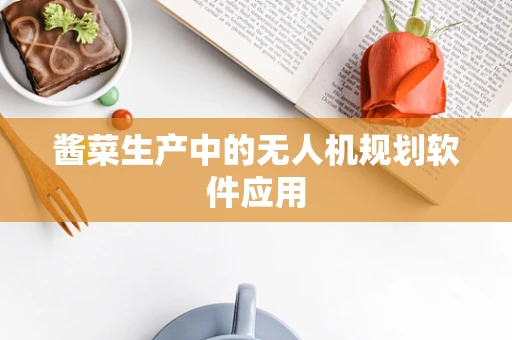 酱菜生产中的无人机规划软件应用