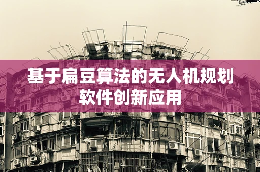 基于扁豆算法的无人机规划软件创新应用
