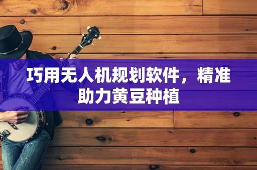 巧用无人机规划软件，精准助力黄豆种植