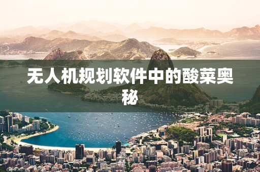 无人机规划软件中的酸菜奥秘