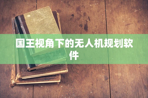 国王视角下的无人机规划软件