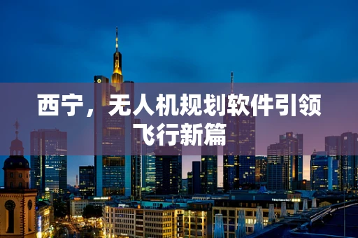 西宁，无人机规划软件引领飞行新篇