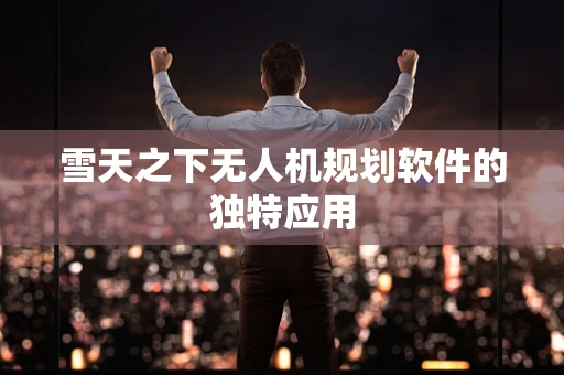 雪天之下无人机规划软件的独特应用