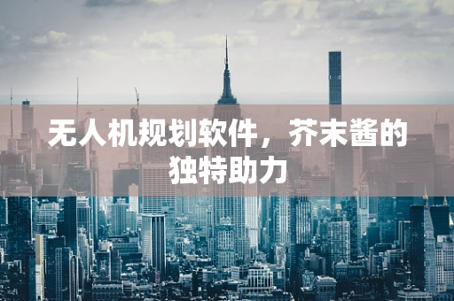 无人机规划软件，芥末酱的独特助力